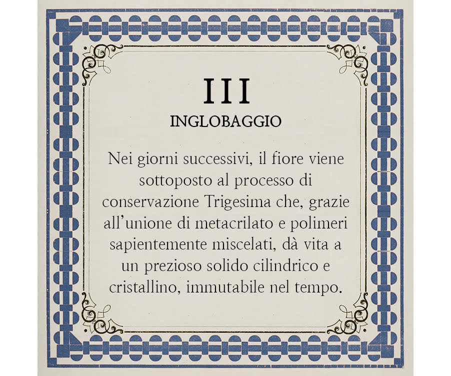 Inglobaggio