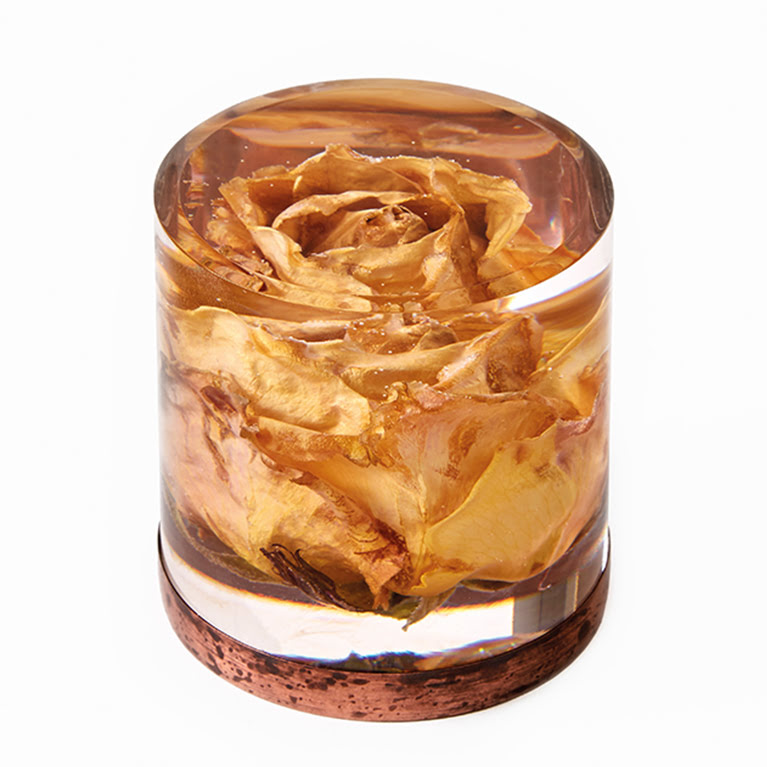 Il fiore della memoria che ricorda i propri cari defunti