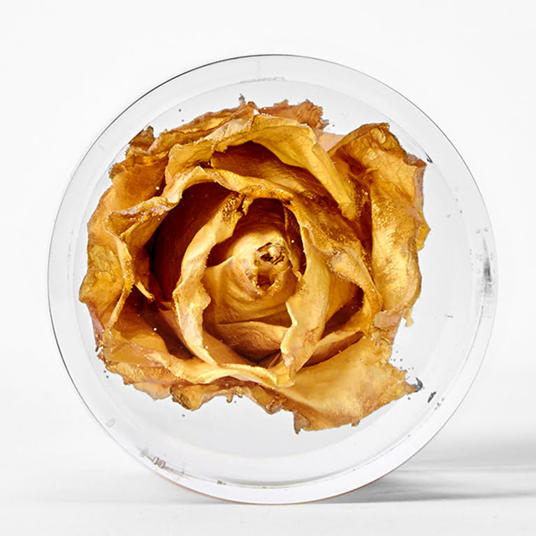 Il fiore eterno come ricordo della cerimonia funebre