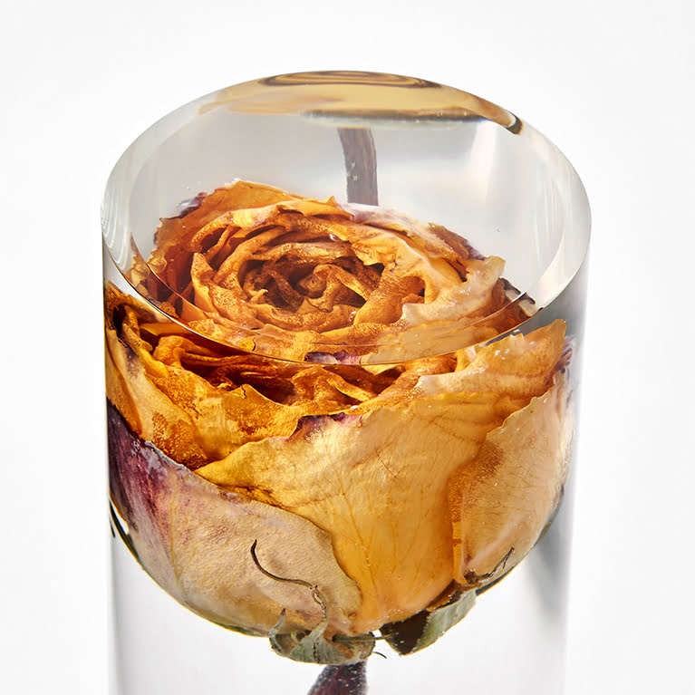 Dettaglio di fiore in fossile di resina e plexiglas