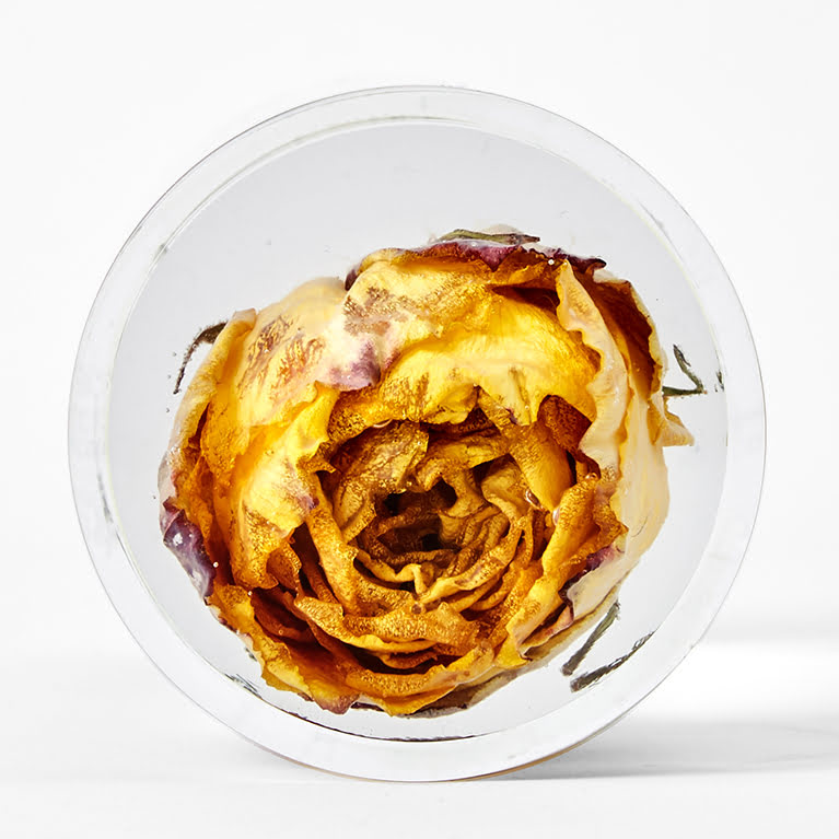 Fiore di design all’interno di un tubo di plexiglas e resina 