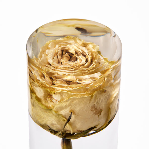 Trigesima: fiore eterno inglobato in un cilindro trasparente di plexiglas e resina