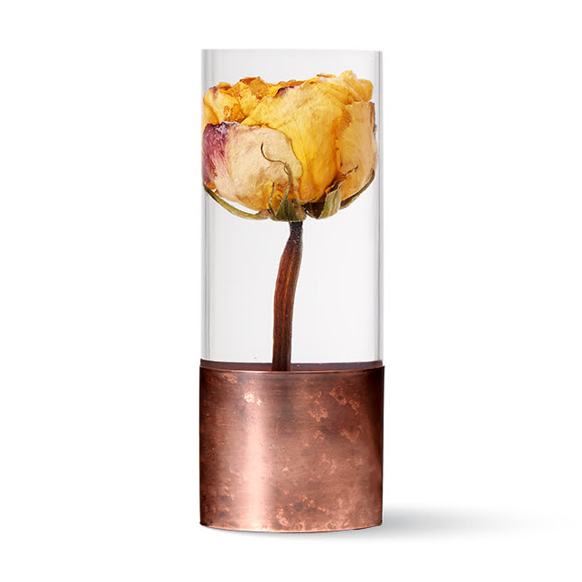 Trigesima superba: rosa eterna dentro resina e plexiglas