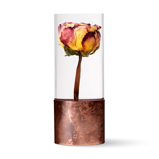 Trigesima superba: rosa conservata per sempre dentro un cilindro trasparente